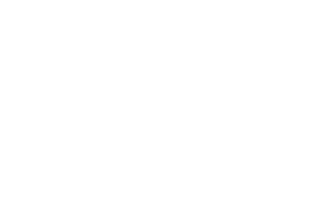 Prabhat Securities Limited